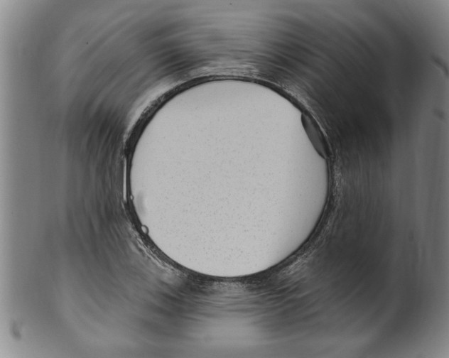 X0000099481123200806061238