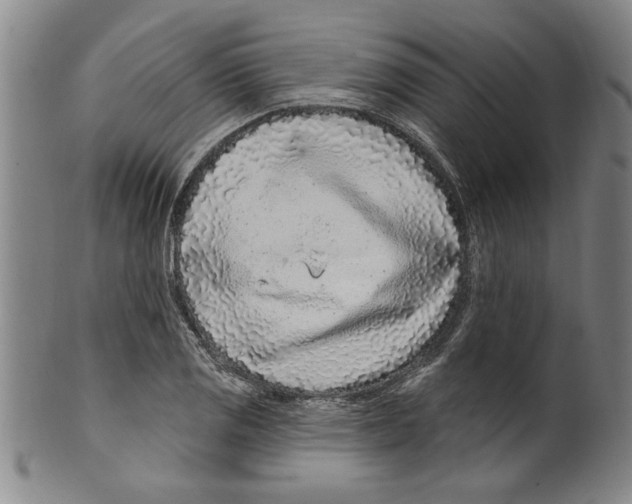 X0000099481125200806061239