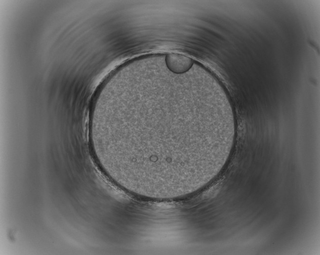X0000099481126200806061239