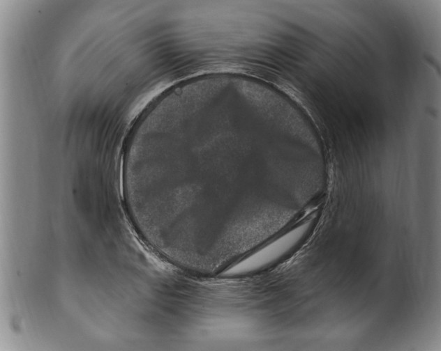 X0000099481127200806061239
