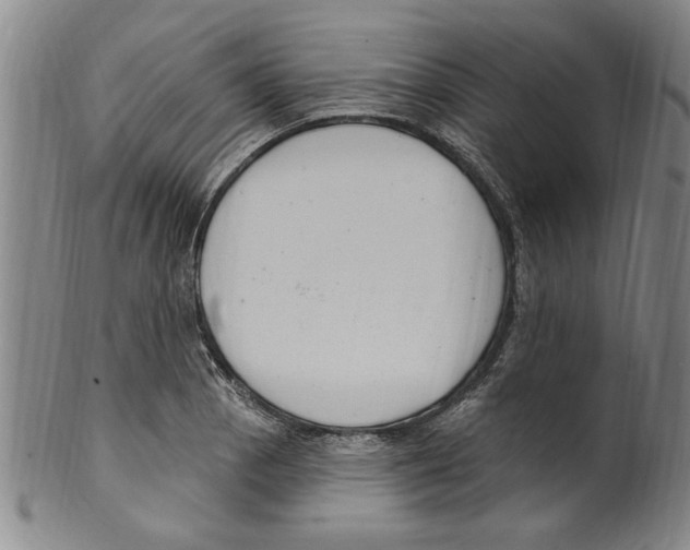 X0000099481129200806061239