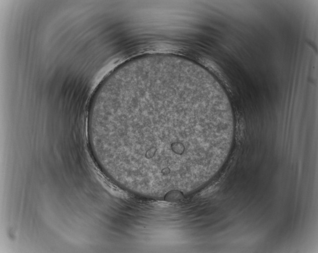 X0000099481130200806061239