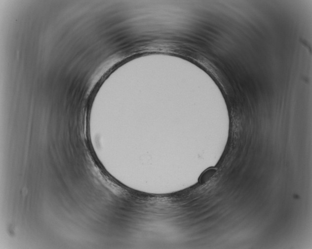 X0000099481131200806061239
