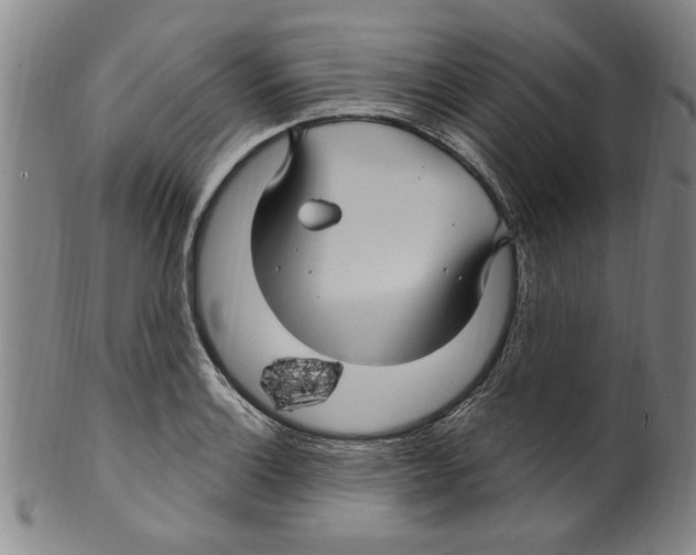 X0000099481132200806061239