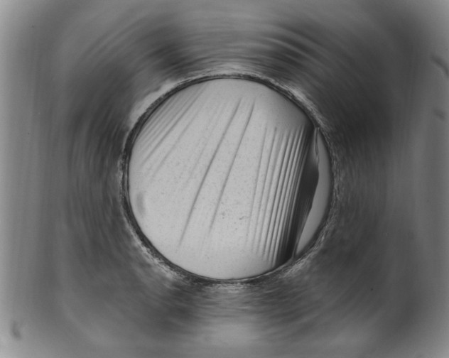 X0000099481134200806061239