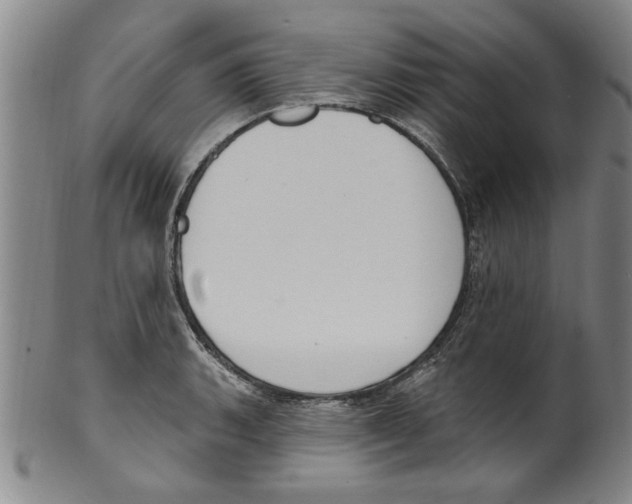 X0000099481135200806061239