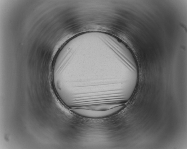 X0000099481136200806061239