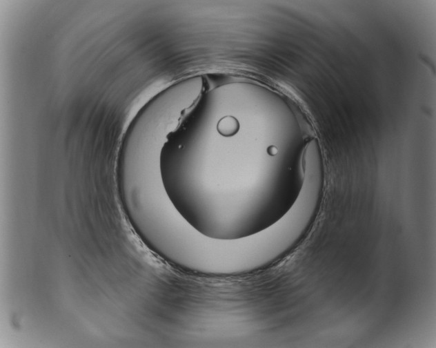 X0000099481138200806061239