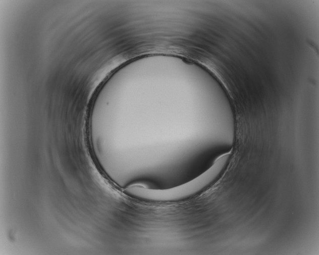 X0000099481139200806061239