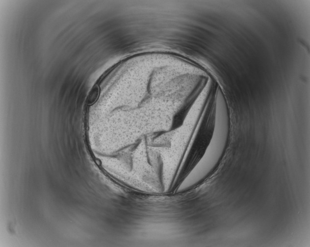 X0000099481142200806061239