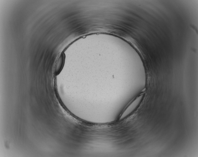 X0000099481143200806061239