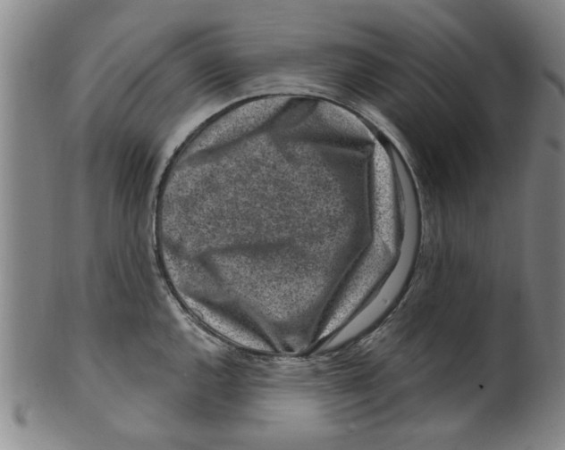 X0000099481144200806061239