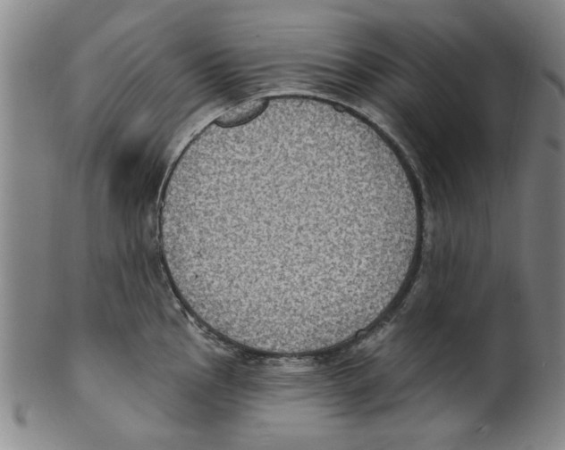 X0000099481145200806061239