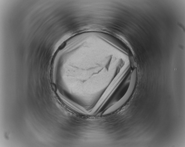 X0000099481146200806061239