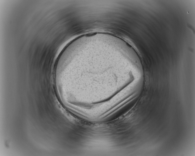 X0000099481148200806061239