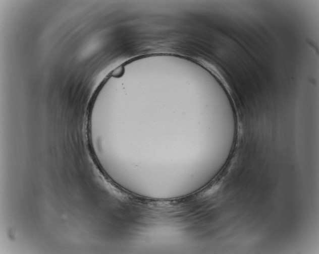 X0000099481149200806061239