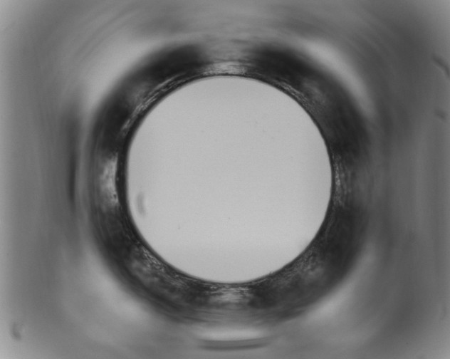 X0000099481150200806061239