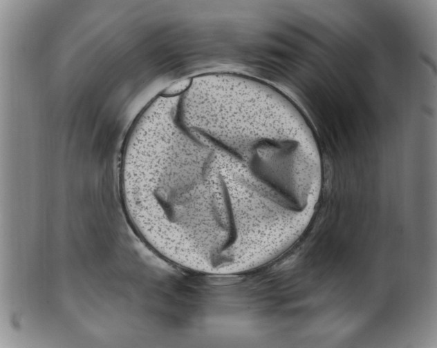 X0000099481151200806061239