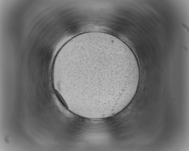 X0000099481152200806061239