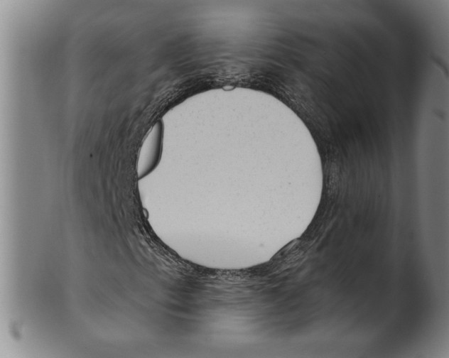 X0000099481153200806061238