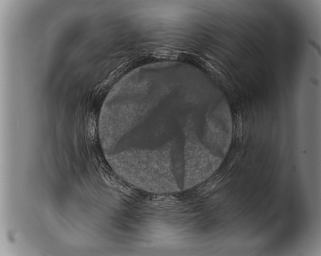 X0000099481154200806061238