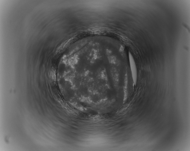 X0000099481155200806061238