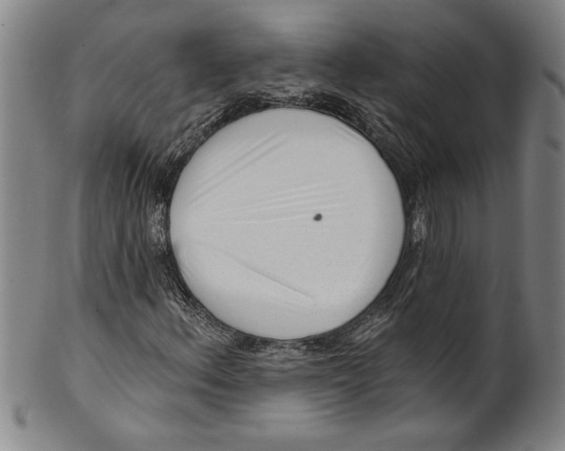 X0000099481156200806061238
