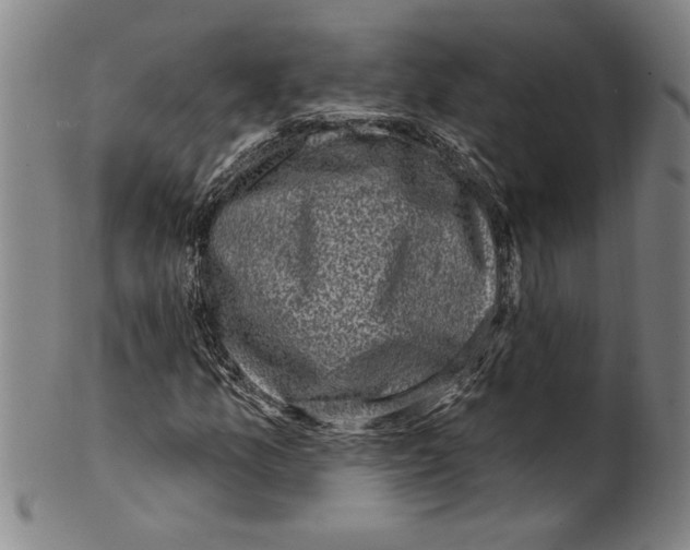 X0000099481157200806061238