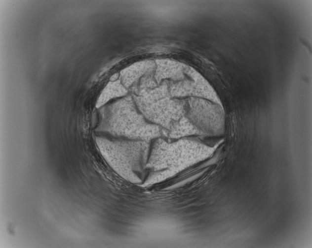X0000099481158200806061238