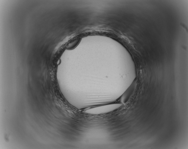 X0000099481159200806061238