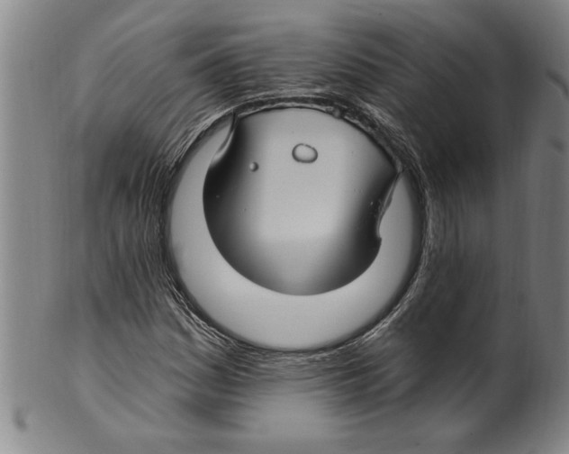 X0000099481161200806061238