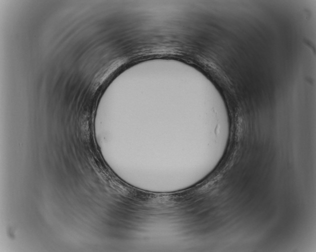 X0000099481162200806061238