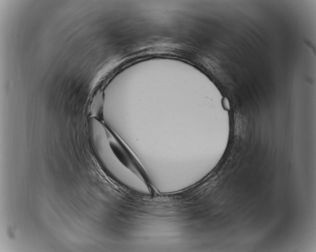 X0000099481164200806061238