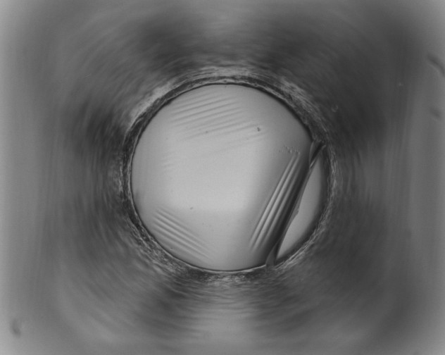 X0000099481165200806061238
