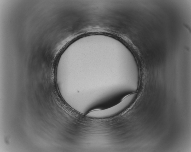 X0000099481167200806061238