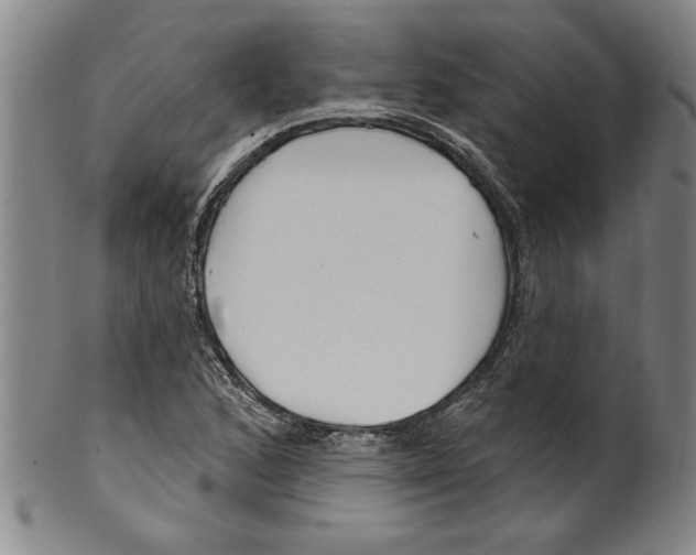 X0000099481168200806061238