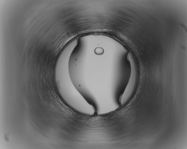 X0000099481169200806061238