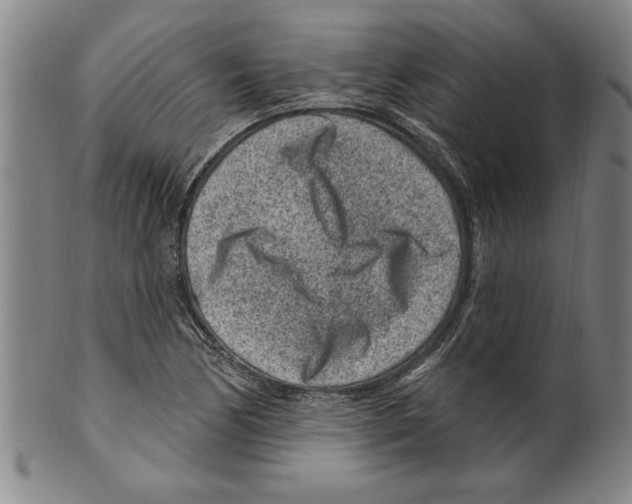 X0000099481170200806061238
