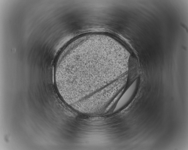 X0000099481171200806061238