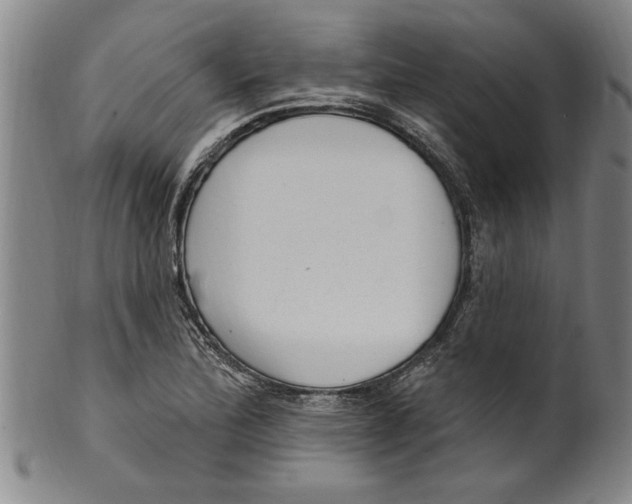X0000099481172200806061238