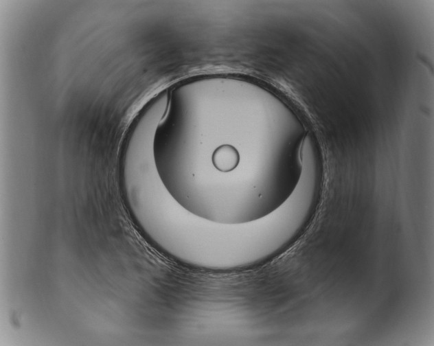 X0000099481173200806061238