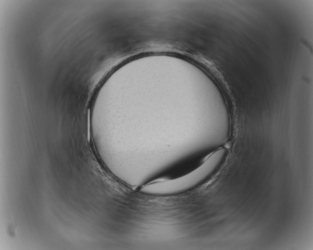 X0000099481175200806061238