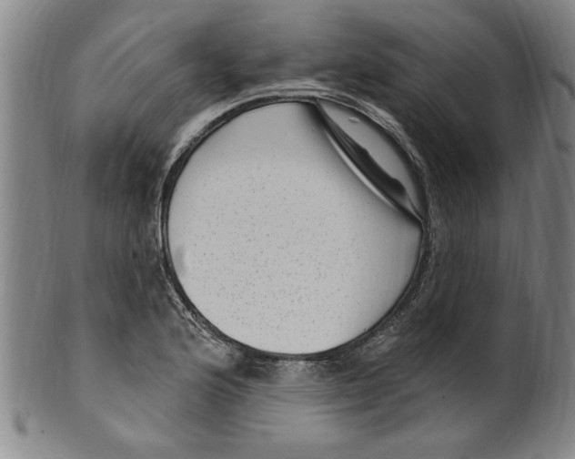 X0000099481176200806061238