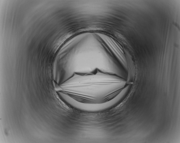 X0000099481177200806061238