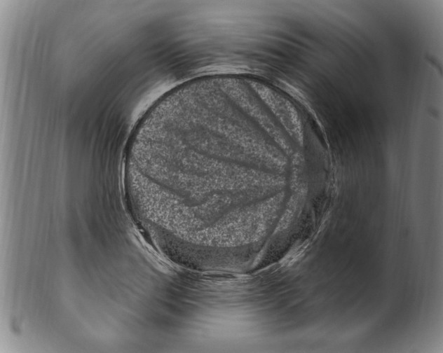 X0000099481179200806061238