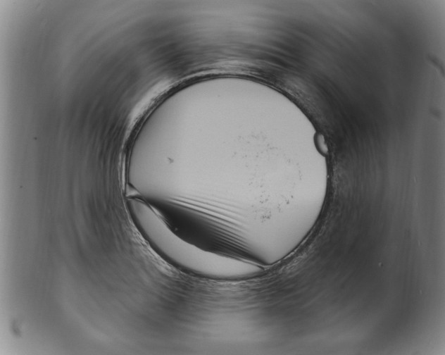 X0000099481180200806061238