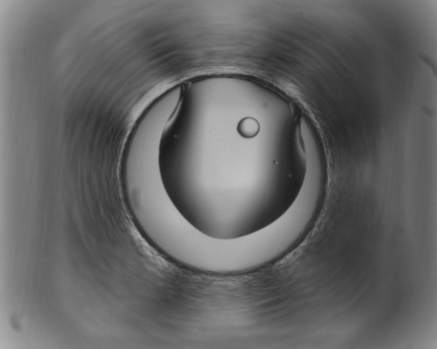 X0000099481181200806061238