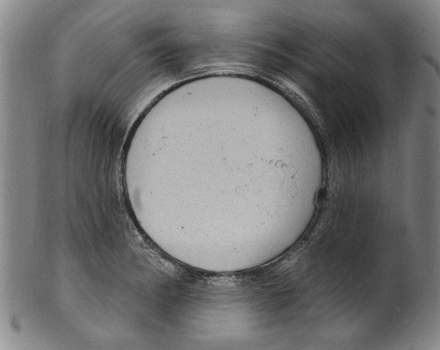 X0000099481182200806061238