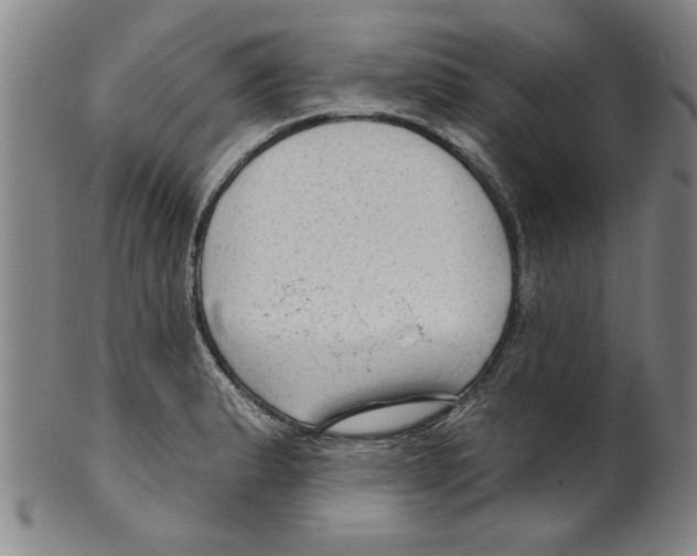 X0000099481183200806061238