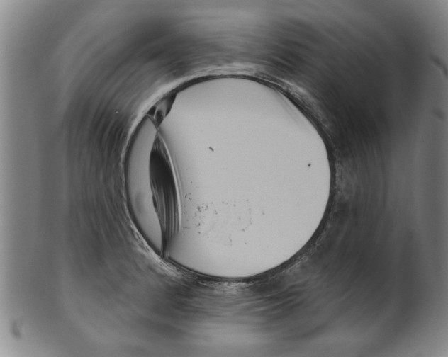 X0000099481184200806061238